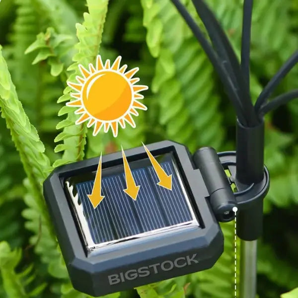 Vagalume Solar BigStock™